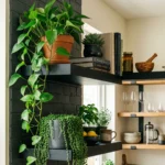 Black Kitchen Shelf Decor Ideas